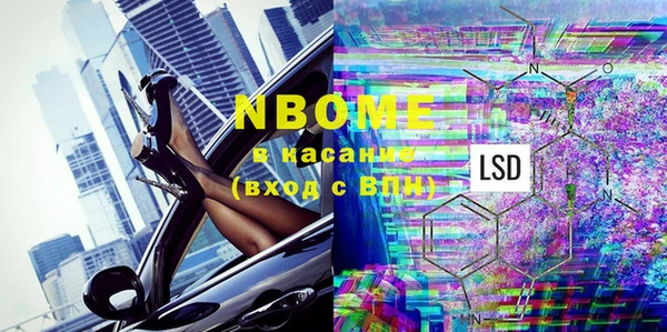 индика Аркадак