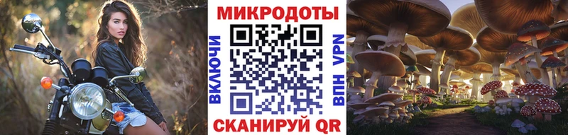 даркнет сайт  мега tor  Псилоцибиновые грибы ЛСД  Нязепетровск 